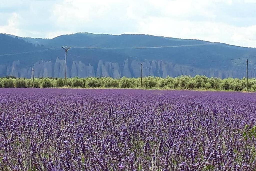 Le Gite Du Jas Vieux Montfort  المظهر الخارجي الصورة